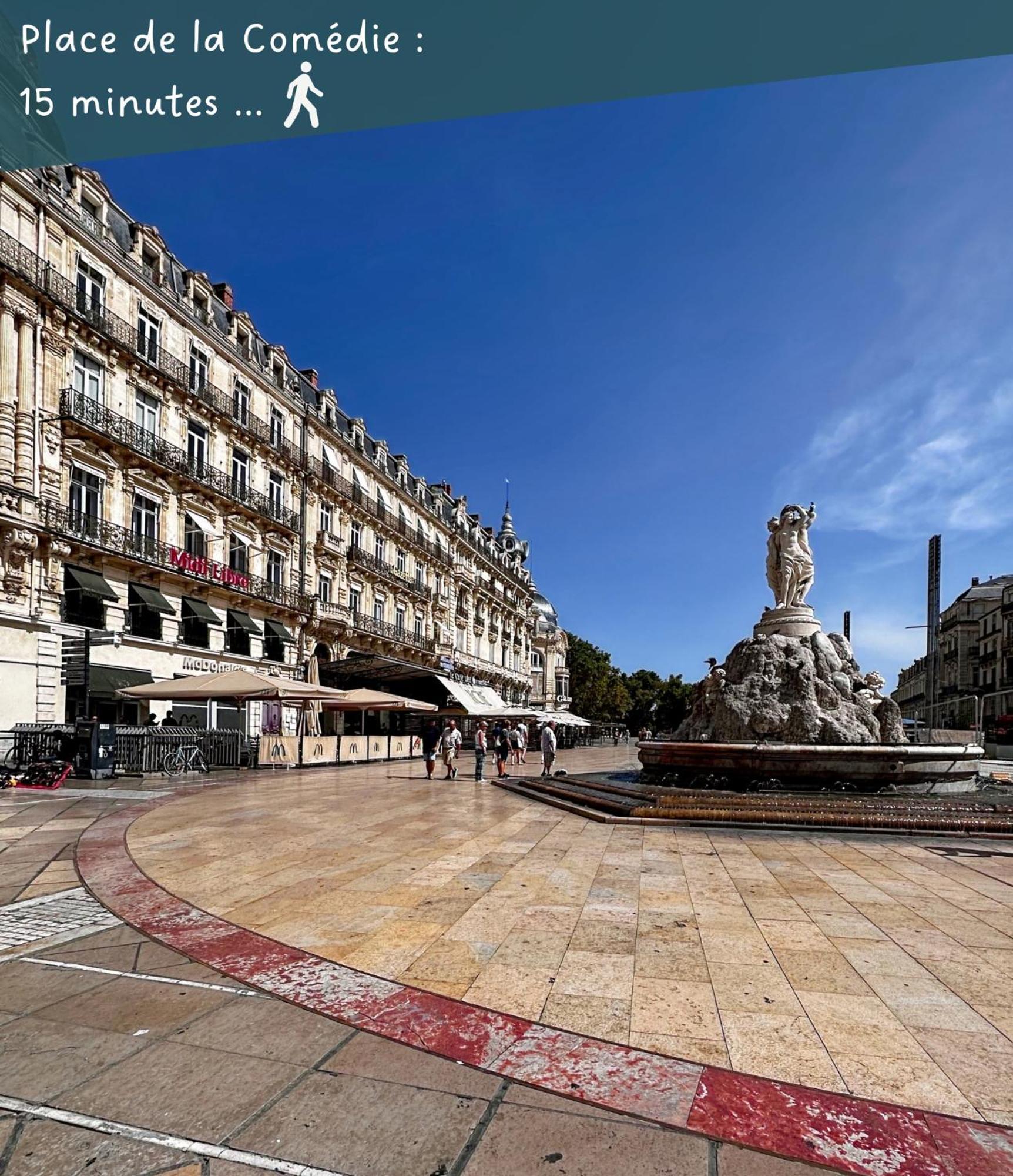 Appartement Entier Cosy Avec Balcon - Centre Montpellier Bagian luar foto