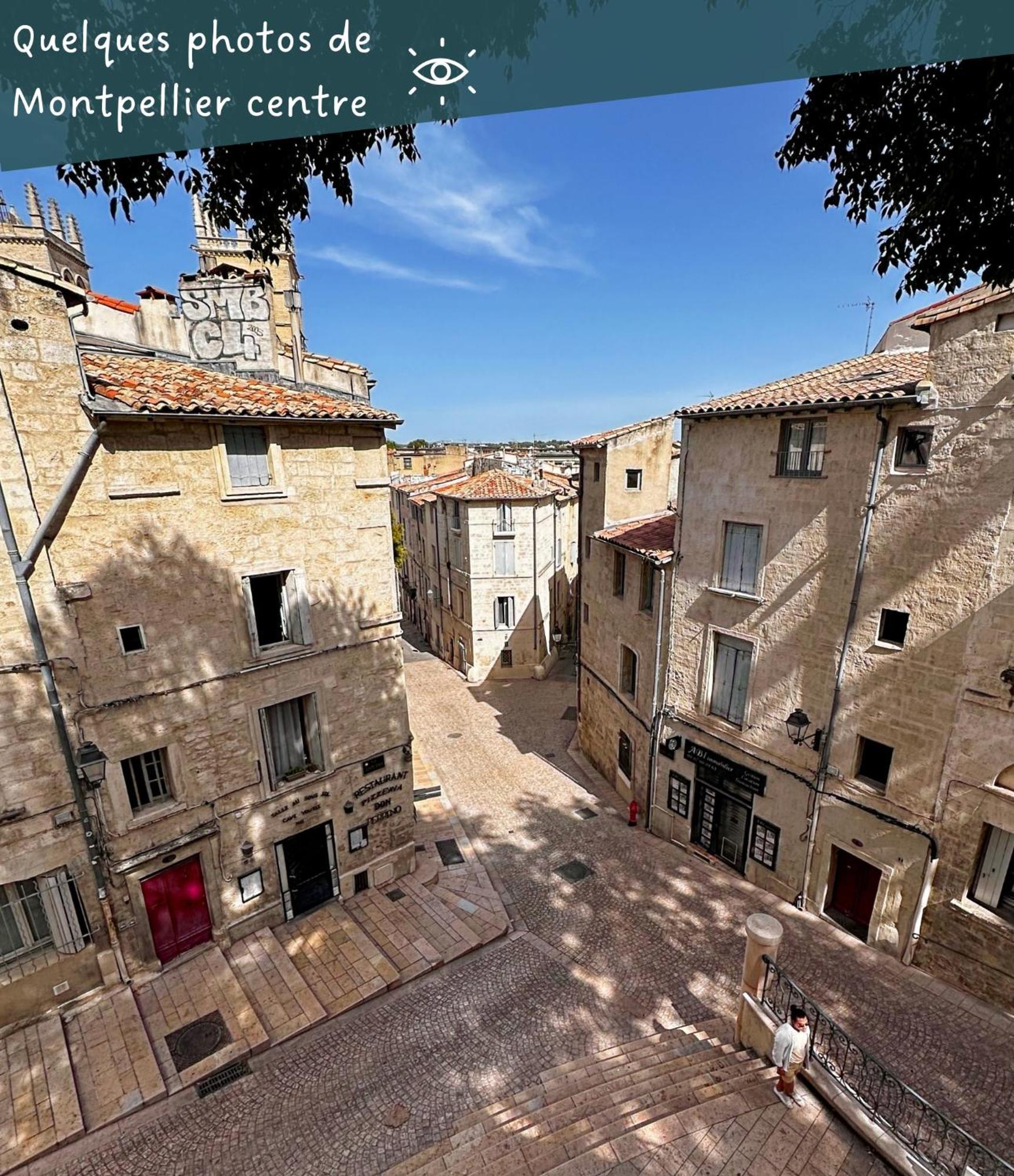 Appartement Entier Cosy Avec Balcon - Centre Montpellier Bagian luar foto
