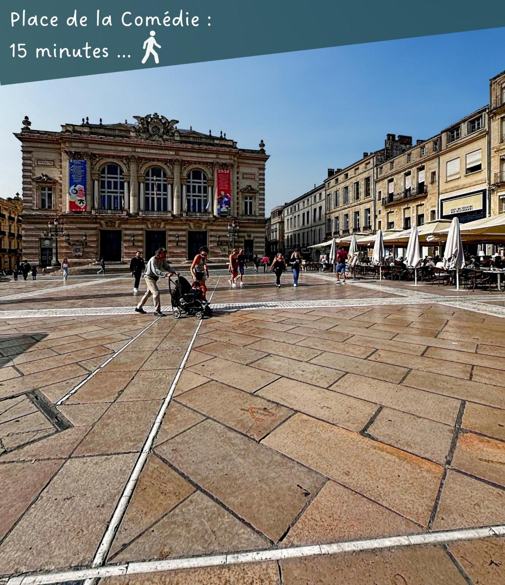 Appartement Entier Cosy Avec Balcon - Centre Montpellier Bagian luar foto