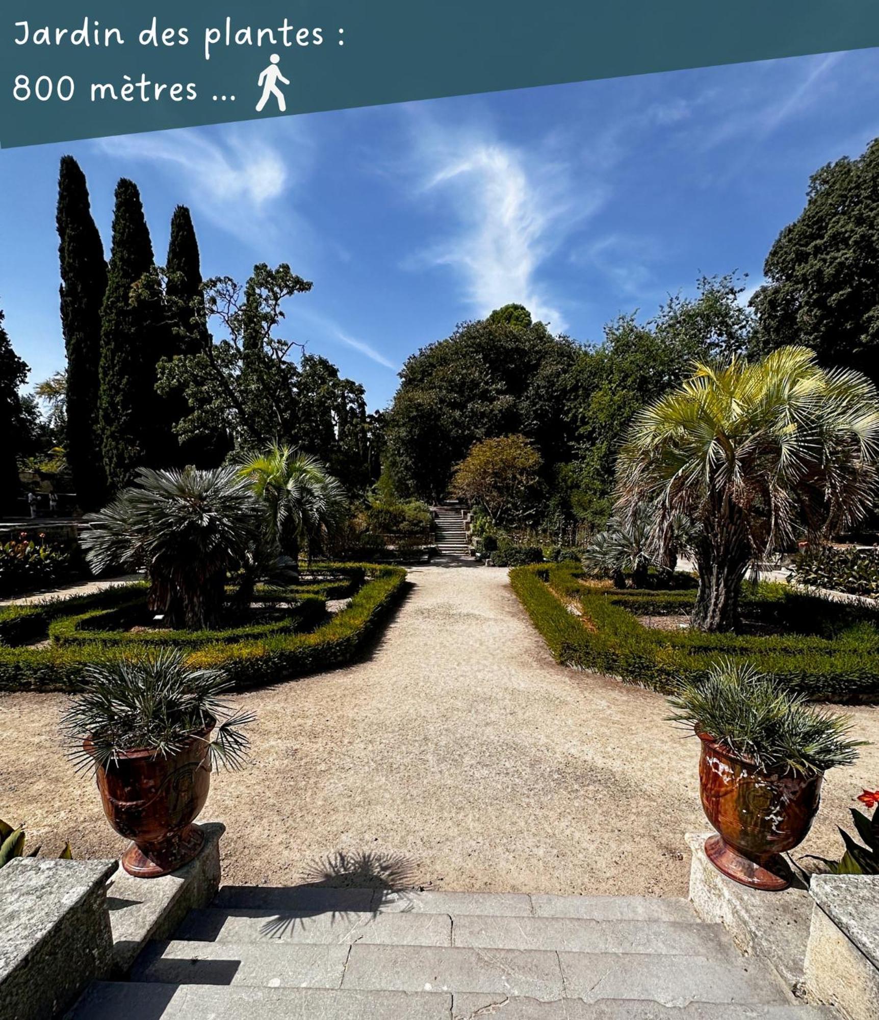 Appartement Entier Cosy Avec Balcon - Centre Montpellier Bagian luar foto