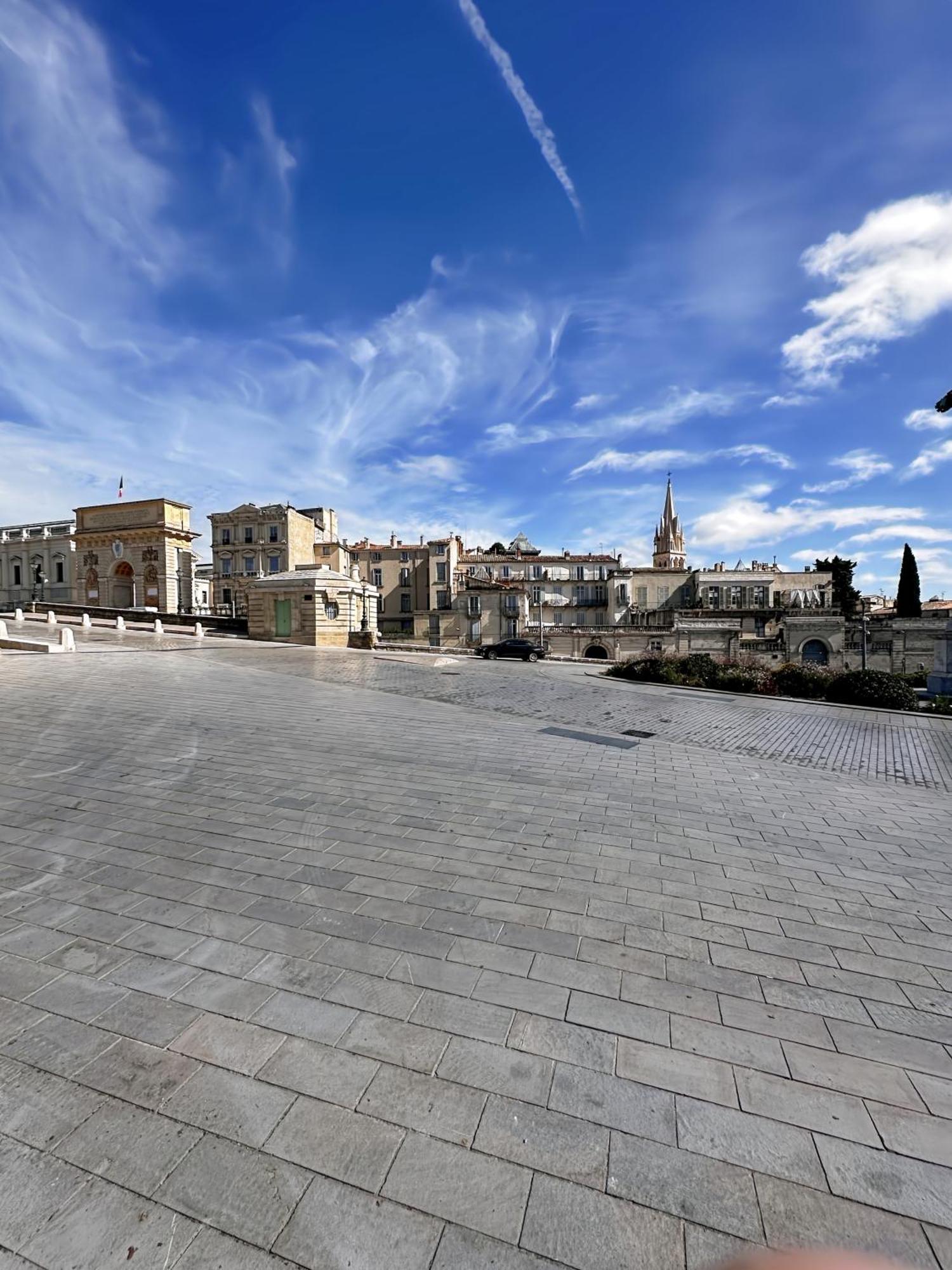 Appartement Entier Cosy Avec Balcon - Centre Montpellier Bagian luar foto